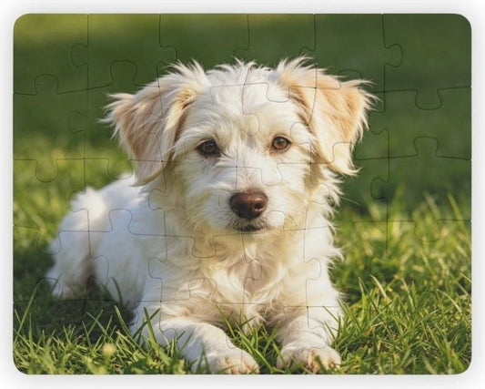 Custom Kids Puzzle — (30‑Piece) — Blank DIY Jigsaw for Toddlers & Early Learners