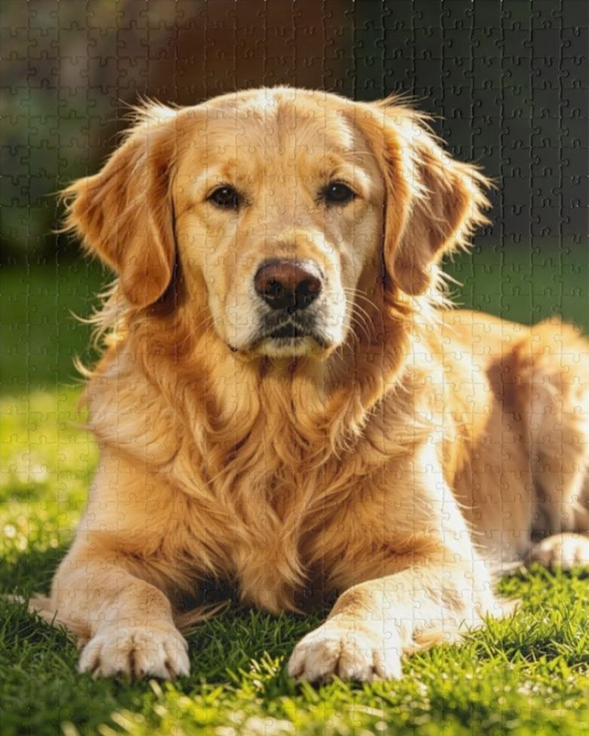 Custom Photo Puzzle — (500 pcs - Vertical) — Customizable Photo & Art Jigsaw Puzzle
